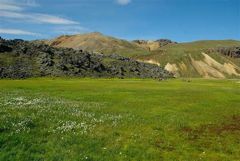 Hd Wallpaper Iceland Landmannalaugar Trekking Nature Grass