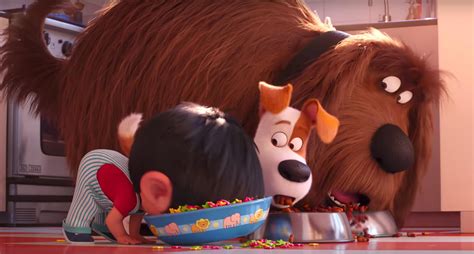 Secret Life Of Pets 2 Characters Anderson Sanford