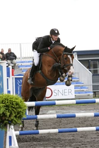 Photos, address, and phone number, opening hours, photos, and user reviews on yandex.maps. Cosmeo - Contender x Caletto I - Equimedic