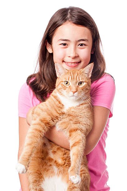 7200 Girl Holding Cat Stock Photos Pictures And Royalty Free Images