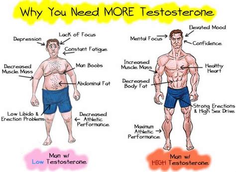 5 Proven Ways To Increase Testosterone Levels Naturally