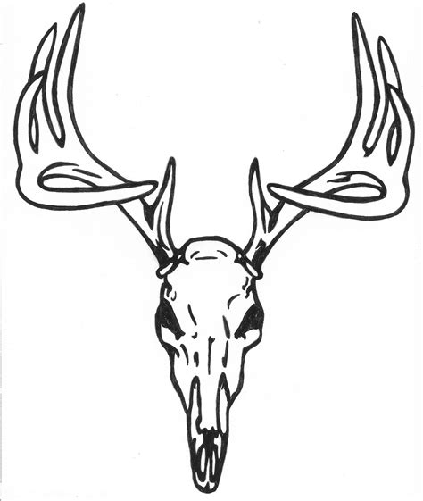 Deer Skull Drawings Sketch Coloring Page