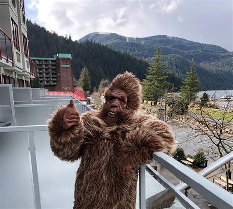 Learn How The Elusive Sasquatch Has Become A Rewilding Success Story