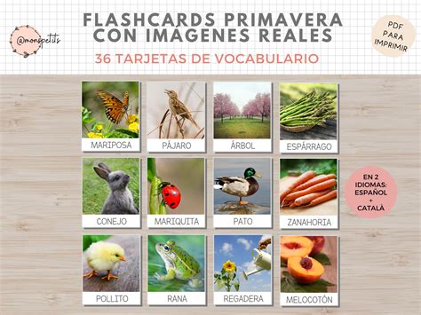 36 Flashcards Vocabulario Primavera Imágenes Reales Imprimible Niños