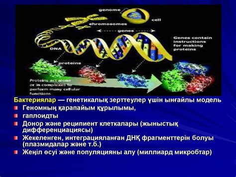 Бактериялардың генетикасы - online presentation