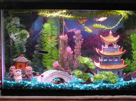 Apr 27, 2020 · clever ideas for how to decorate your aquarium for the. How to Decorate Your Boring Fish Tank | Pouted.com