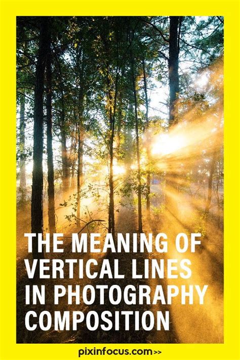 Using Vertical Lines In Photography Line Photography Composition