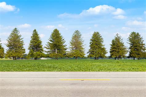 American Country Road Stock Image Image Of Main Pathway 31764169