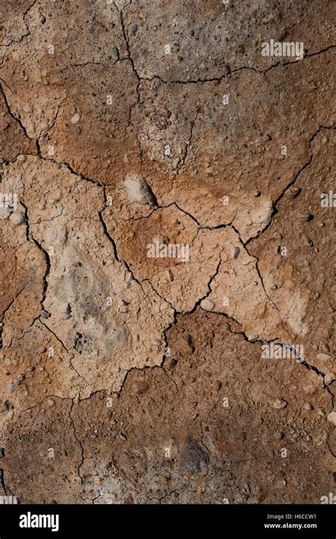 Brown Color Dry Cracked Muddy Earth As A Background Texture Stock Photo