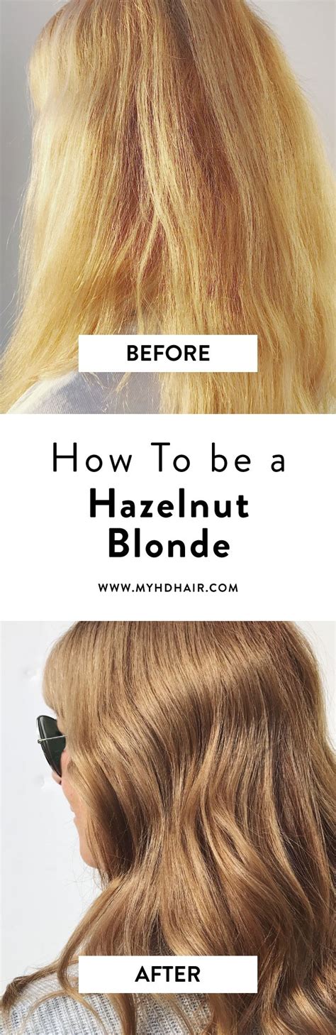How To Hazelnut Blonde Dark Blonde Hair Color Hazelnut Hair Glossy