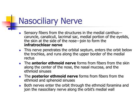 Ppt Cranial Nerve Innervation Of Ocular Structures Powerpoint