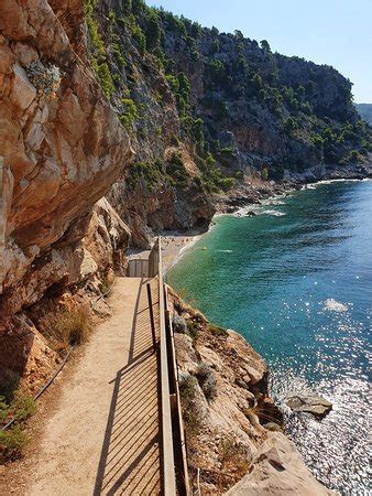 She is an actress and composer, known for oaspeti de seara (1976), capcana. Pasjaca Beach (Popovici, Kroatien) - anmeldelser - TripAdvisor