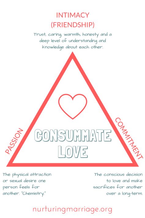 Sternberg Triangle Intimacy Passion Commitment Love Triangle