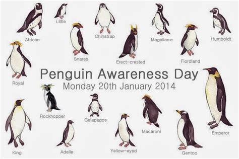 These differences don't mean that penguins are not birds, they are penguins that live in the cold antarctic regions are larger in size, and as they move away from the antarctic region, the species of penguins grow smaller in size. The Zoo Review: Penguin Awareness Day