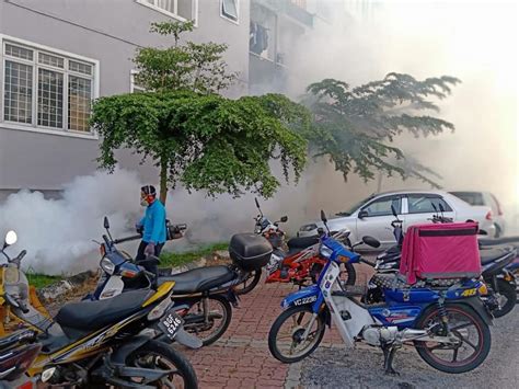 For more information and source, see on this link : AKTIVITI KAWALAN DEMAM DENGGI DALAM KAWASAN MBS | Portal ...