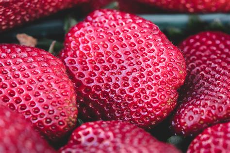 무료 이미지 식물 산딸기 과일 말린 씨앗 단 꽃잎 식품 빨간 생기게 하다 농업 건강한 맛있는 닫다 맛