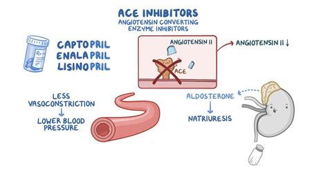 What Do Ace Inhibitors Do