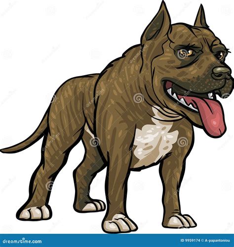 Dog Breeds Pitbull Stock Vector Illustration Of Purebred 9959174