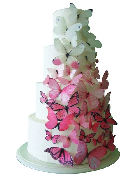 You'll learn some great new techniques too, like how to make a beautiful ombre frosting. incrEDIBLE Toppers Ombre Edible Butterflies in Pink Cake