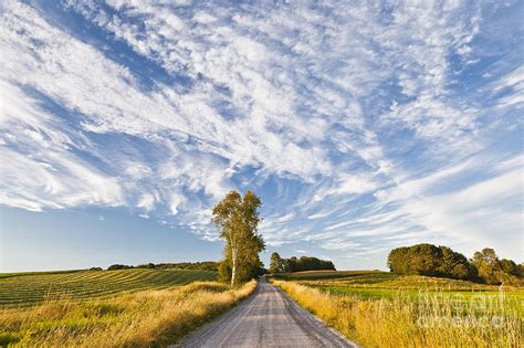 Summer Country Road Photograph By Alan L Graham Fine Art America