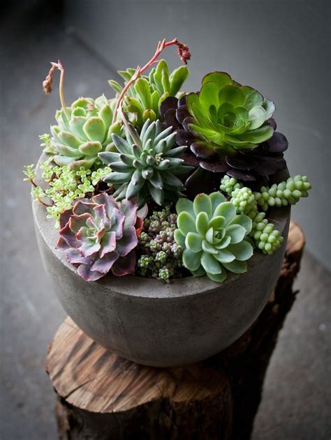 Succulent arrangement means planting the succulent into a pot, but it doesn't always have to be a regular pot. Mobile Landscapes | Lila B Design | Succulent garden ...