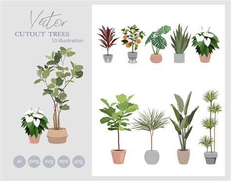 Set Of House Plants Clipart Flat Vector Plant Illustration Etsy