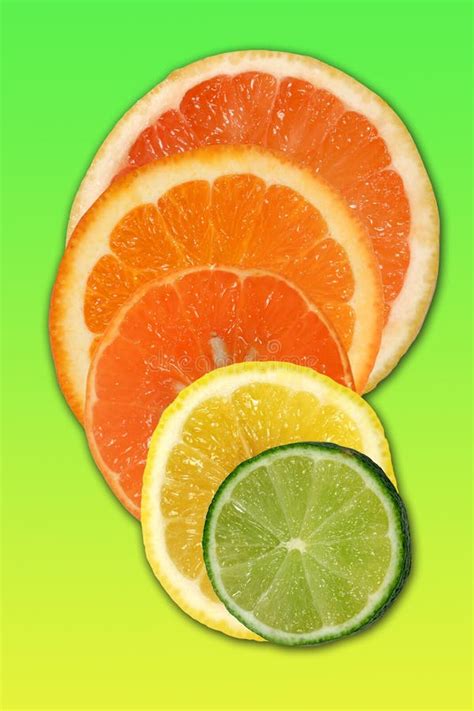 Citrus Fruits Stock Image Image Of Limes Delicious Health 496105