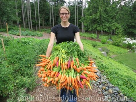 Ample Harvest What To Do With Your Excess Garden Harvests One