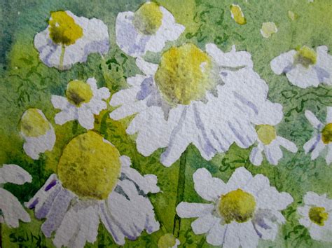 Chamomile Flower Painting Close Up ORIGINAL WATERCOLOR