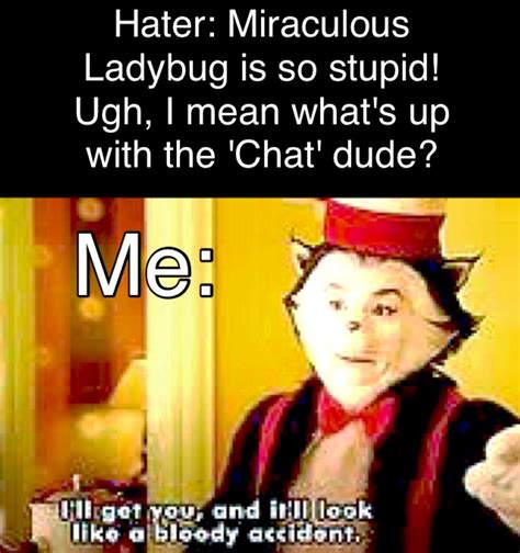 Miraculous Ladybug memes | Miraculous ladybug, Miraculous ladybug memes, Miraculous ladybug comic