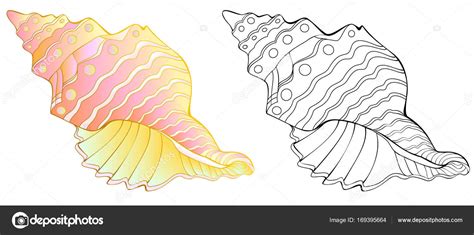 Imprimez les coloriages sur les coquillages et les crustacés, il ne reste plus qu'à les colorier. Modèle de couleur et noir et blanc de coquille de mer — Image vectorielle Nataljacernecka ...