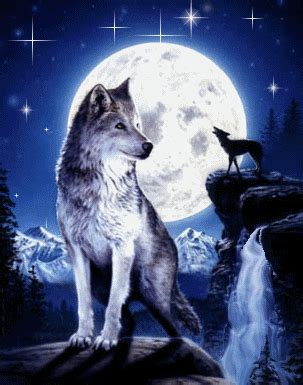 Two black and white wolves wallpaper, wolf, couple, animal, animal themes. Glitter Graphics graphic | Wolf love, Pintura de lobo ...