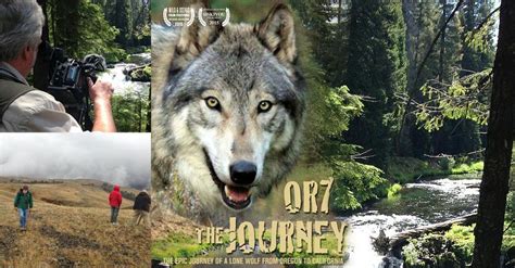 Or7 — The Journey Screeningat Speak For Wolves 2015 With Images