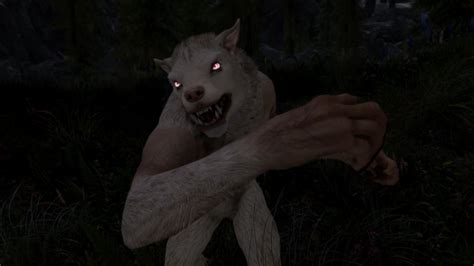 Skyrim Build Ideas The Werewolf Perks Items And Roleplay Ideas For