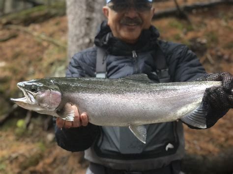 Upper Michigan Fishing Report From Rivers North Guide Service