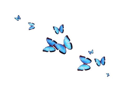 Aesthetic Butterfly Transparent Png Png Play