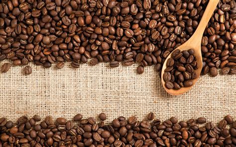 Best Organic Coffee Brands | Longevity