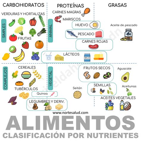 Clasificación De Los Alimentos Según Sus Nutrientes Norte Salud Nutrición