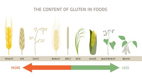 Whats The Difference Between Wheat And Gluten Intolerance Resveralife