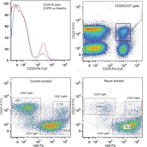 Flow Cytometry Plots Of Regulatory T Cells In Peripheral Blood The