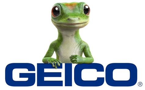 Incredible Geico Motor Insurance 2023 Financial Report