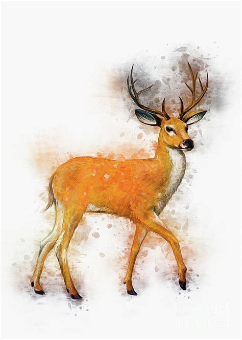 Deer Art Drawing By Ian Mitchell Pixels