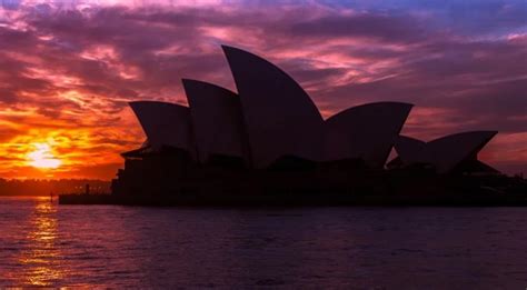 The latest official coronavirus news. Australian COVID-19 death toll rises to 12