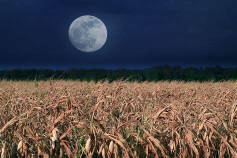 Fall Harvest Moon Photography