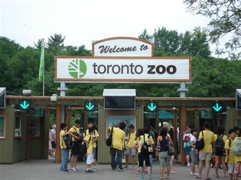 Tdsb Summer Esl Program For International Students Day 12 The Toronto Zoo