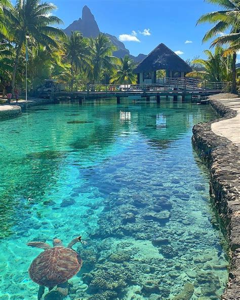 Its A Little Piece Of Paradise At The Le Méridien Bora Bora The