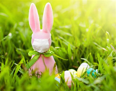 Hogan Makes Easter Bunny 'Essential Worker' in Maryland | Montgomery ...
