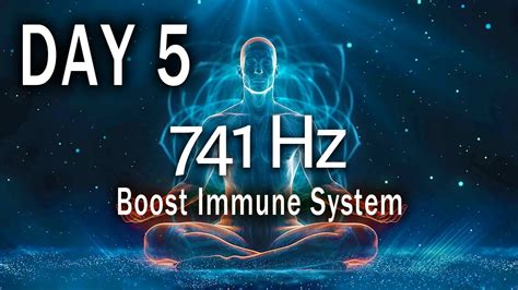 741 Hz Cleanse Infections And Dissolve Toxins Day 5 Boost Immune System