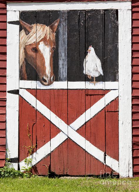 Barn Yard Conversation Photograph By Alan L Graham Fine Art America