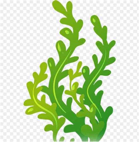 Pink Seaweed Png Pngkit Selects 91 Hd Seaweed Png Images For Free
